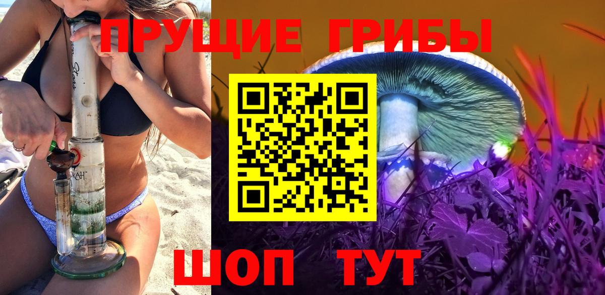 Галлюциногенные грибы Psilocybine cubensis  Вход с VPN  Коломна 